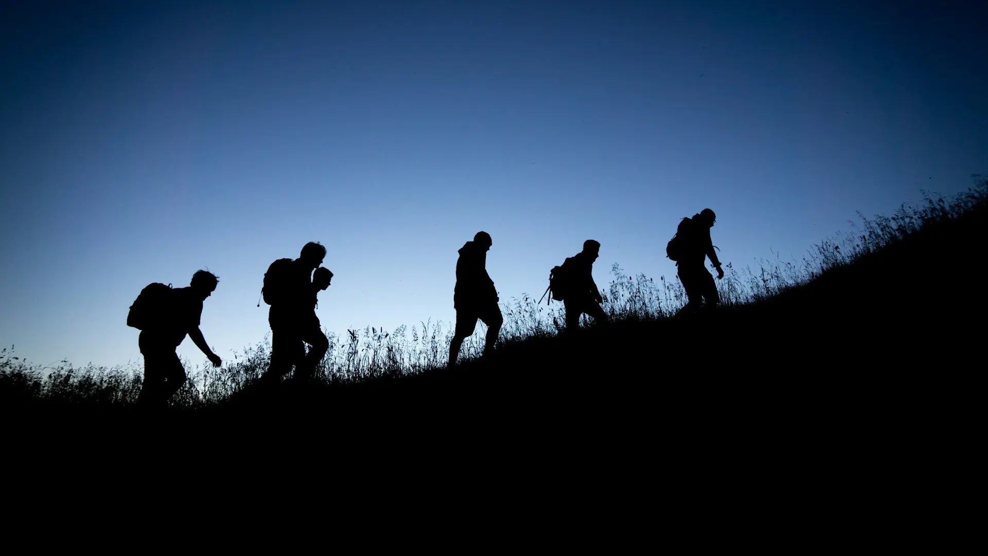 silhouette of people