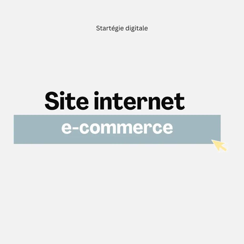 Site internet e-commerce