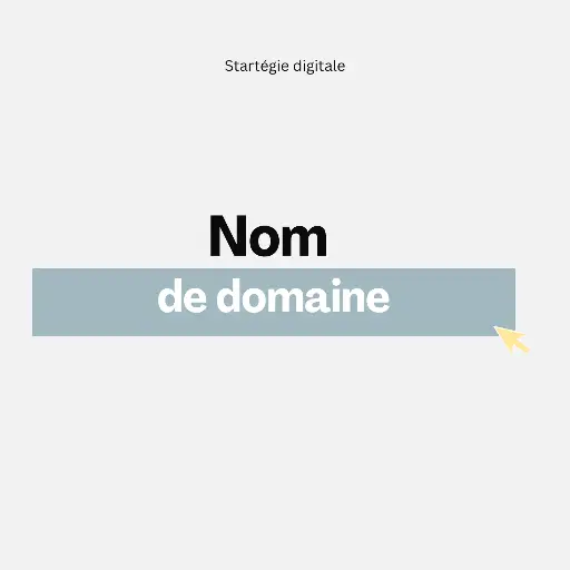 [25011312] Nom de domaine