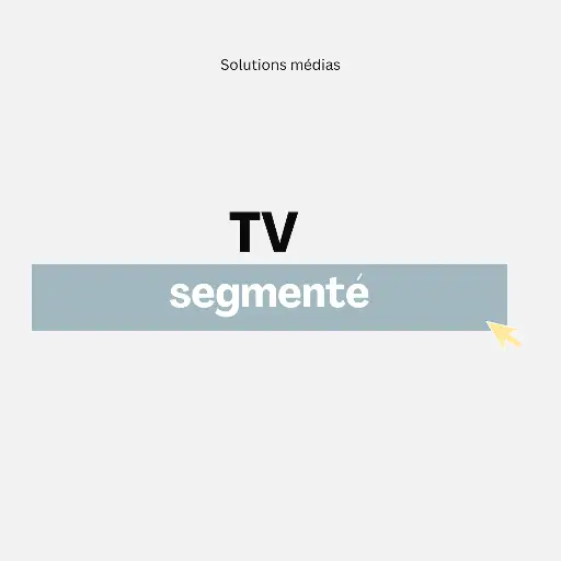 [25032901] TV segmentée