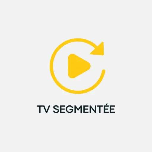 [25032901] TV segmentée